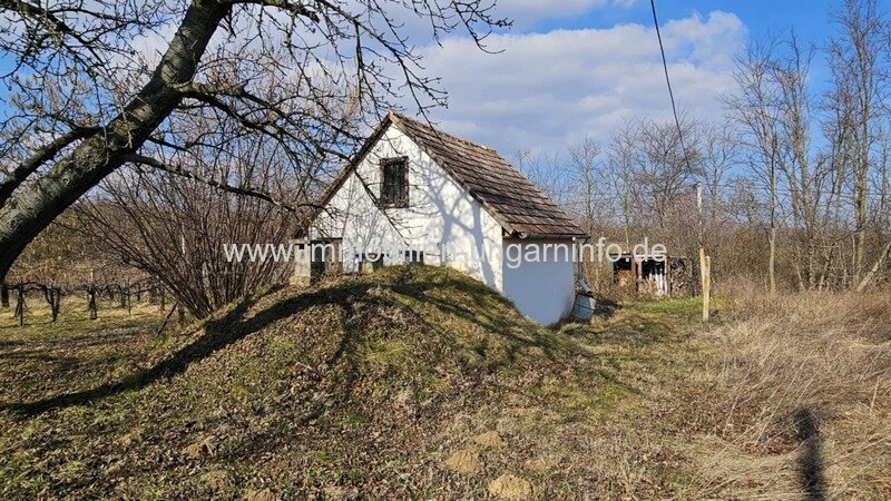 Keller/Wochenendhaus mit Panoramagrundstück im Weinberg Kéthely zu verkaufen Keller/Wochenendhaus mit Panoramagrundstück im Weinberg Kéthely zu verkaufen