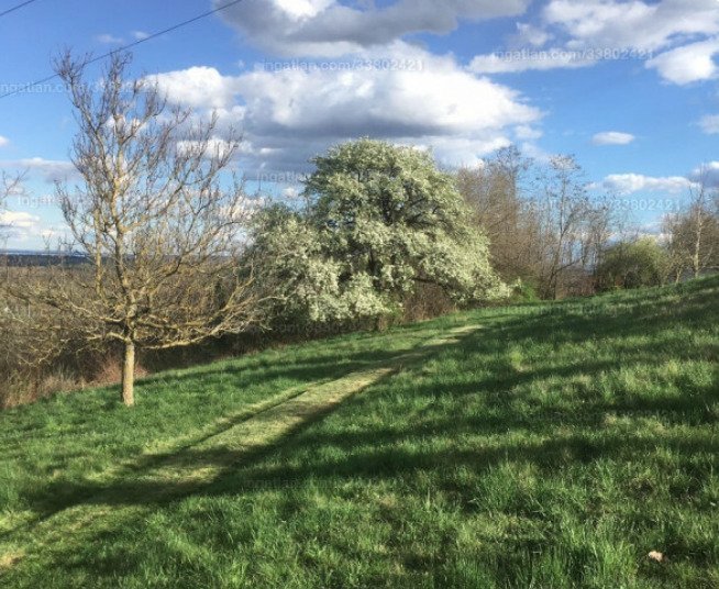 Großes Grundstück mit Fernblick be Héviz, ein tolles Investment (A-A) Großes Grundstück mit Fernblick be Héviz, ein tolles Investment (A-A)
