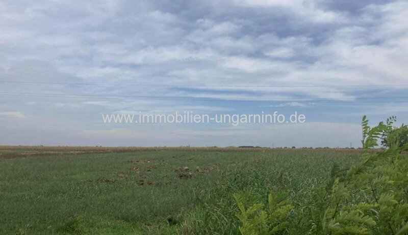 Naturverbundenes Baugrundstück in der Nähe des Balaton (Plattensee) Naturverbundenes Baugrundstück in der Nähe des Balaton (Plattensee)