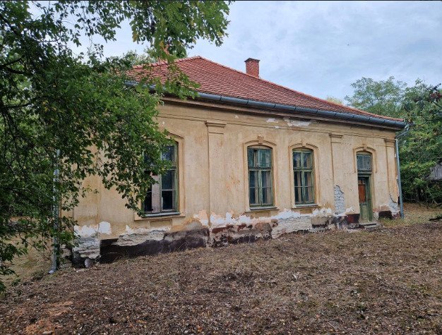 (ACA) Altes Schulhaus im Jugendstil mit viel Potential (ACA) Altes Schulhaus im Jugendstil mit viel Potential