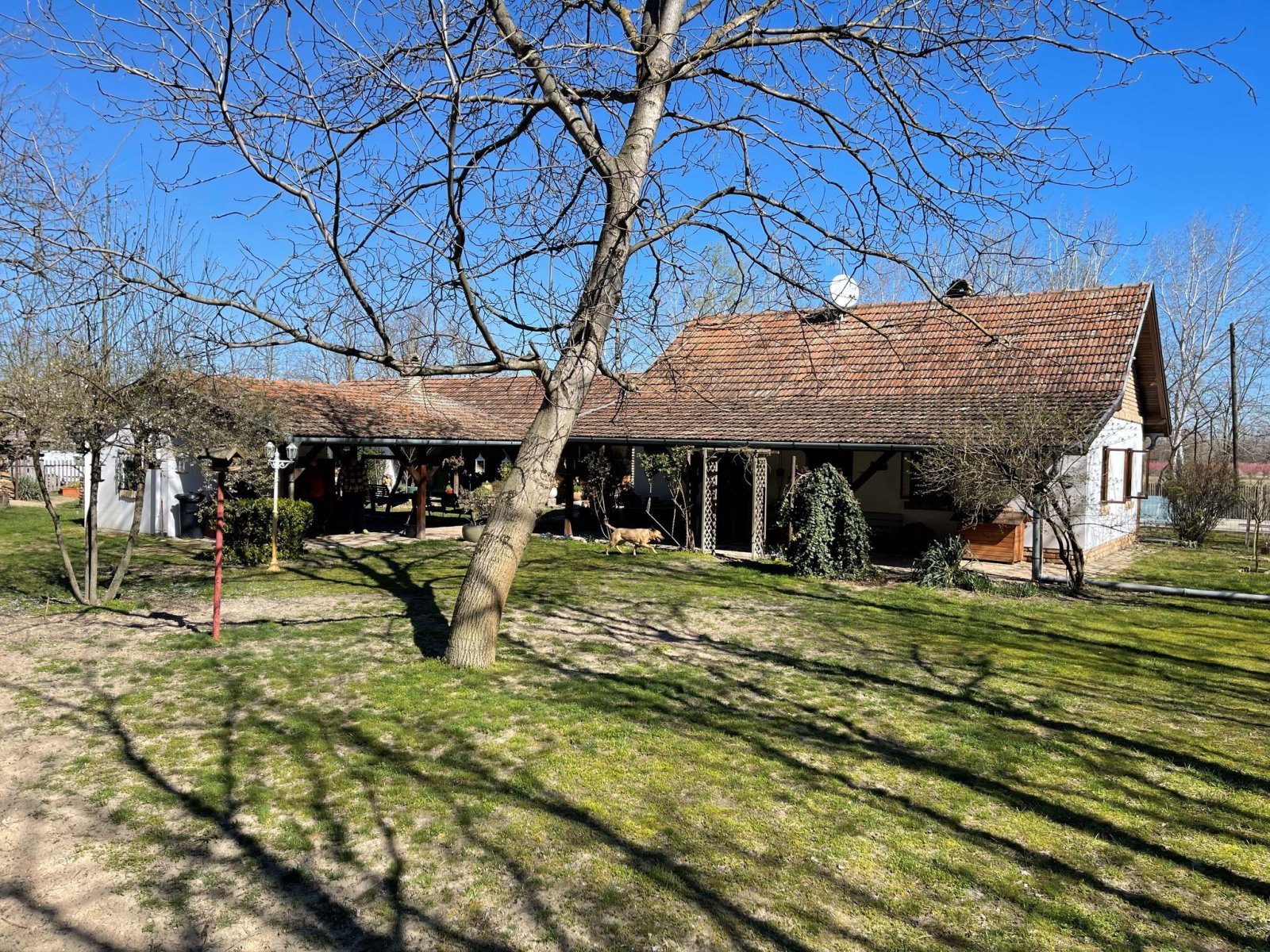 (AAA) Gemütliches Landhaus & großes Grundstück & Pool & extra Apartment (AAA) Gemütliches Landhaus & großes Grundstück & Pool & extra Apartment