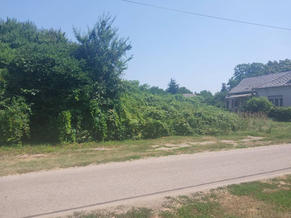 Baugrundstück mit Panoramablick in die Ferne Baugrundstück mit Panoramablick in die Ferne