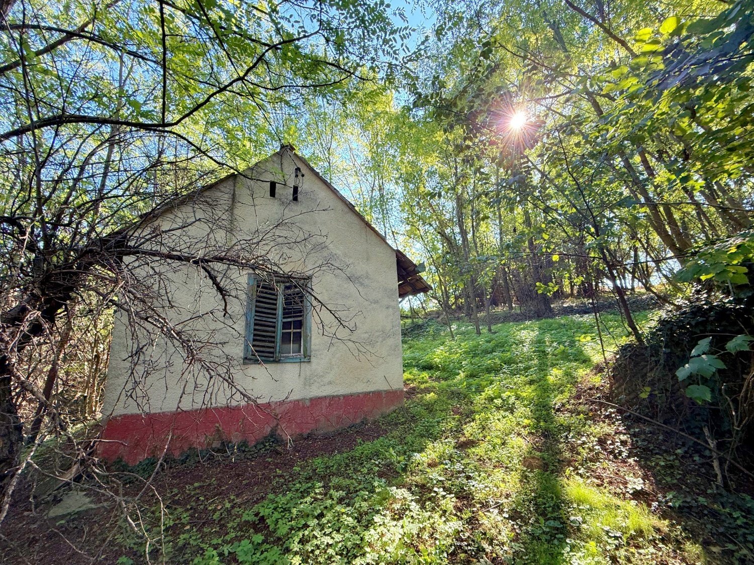 (ACA) Weinbergpinze auf großem Grundstück (ACA) Weinbergpinze auf großem Grundstück