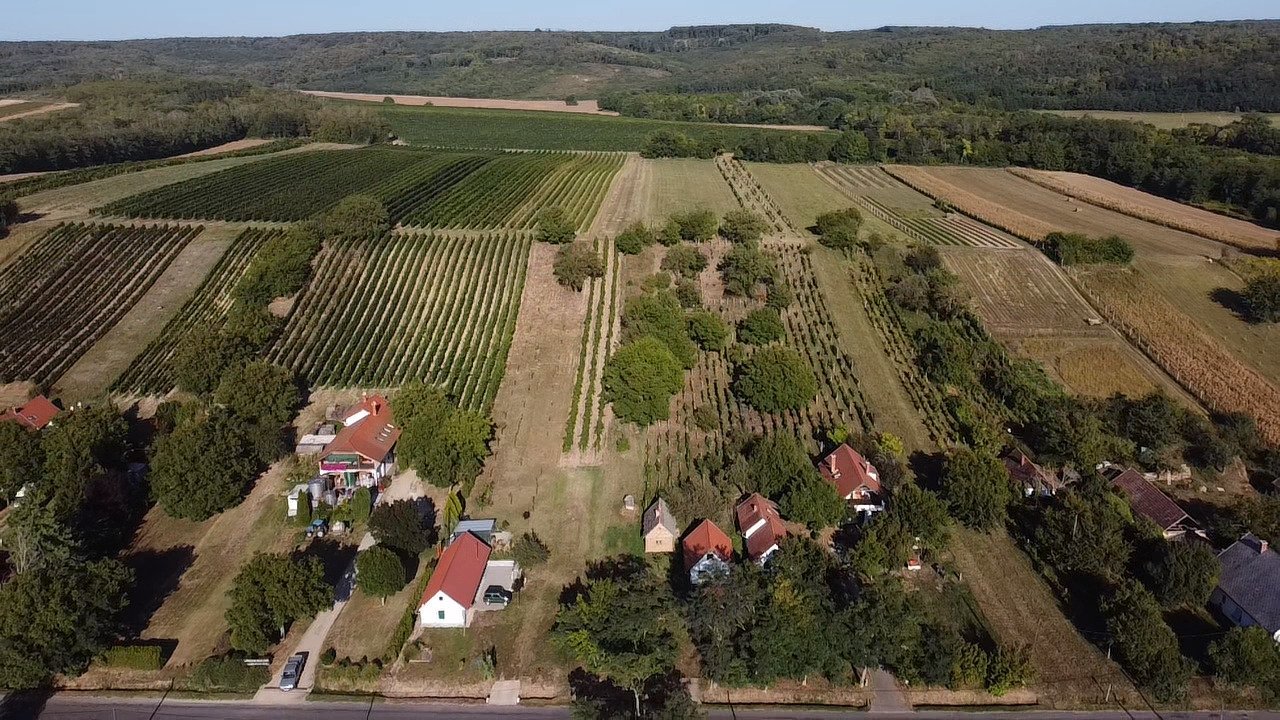 (AAA) Komplett renoviertes Weinberg-Landhaus Nähe Balaton (AAA) Komplett renoviertes Weinberg-Landhaus Nähe Balaton