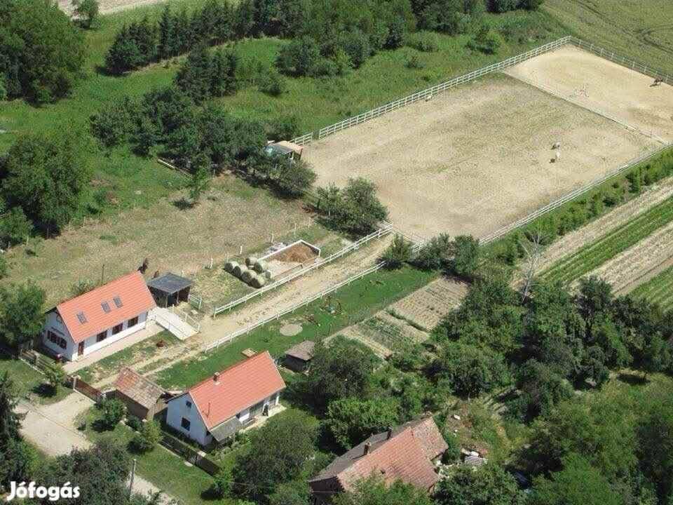 (AAA) Sehr gepflegtes Einfamilienhaus & Pferdehaltung möglich bei Nagyatád (AAA) Sehr gepflegtes Einfamilienhaus & Pferdehaltung möglich bei Nagyatád
