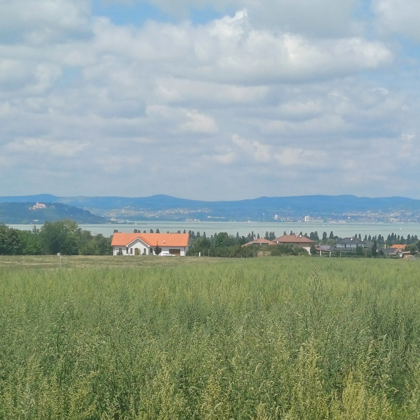(A-A) 50 Bau-Grundstücke mit Balatonblick; Ideal für den Bauträger mit Weitblick (A-A) 50 Bau-Grundstücke mit Balatonblick; Ideal für den Bauträger mit Weitblick