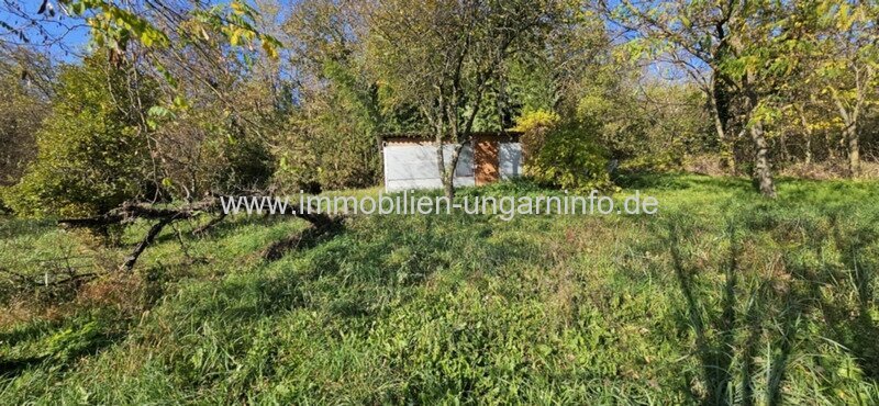 0,45 Hektar geschlossene Garten mit guter Aussicht, in der Nähe der Thermalbäder zu verkaufen in Marcali 0,45 Hektar geschlossene Garten mit guter Aussicht, in der Nähe der Thermalbäder zu verkaufen in Marcali
