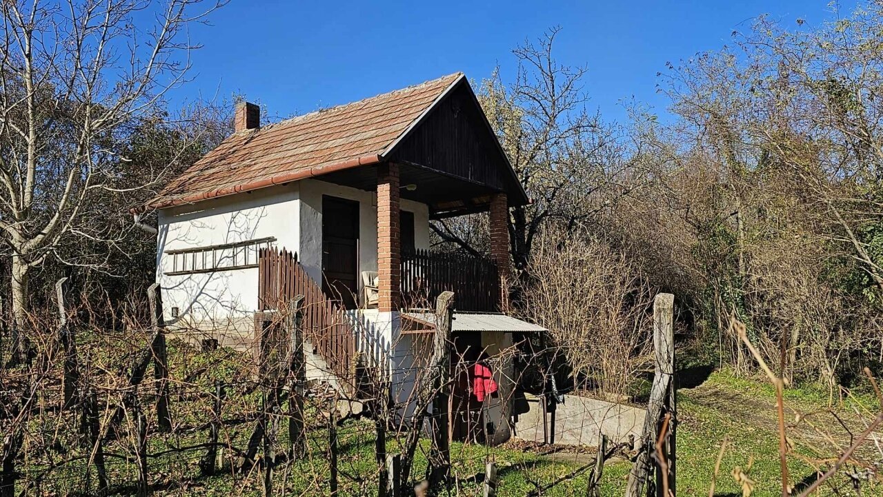 2 Keller/Wochenendhaus mit großem Grundstück in den Weinbergen von Marcali zu verkaufen 2 Keller/Wochenendhaus mit großem Grundstück in den Weinbergen von Marcali zu verkaufen