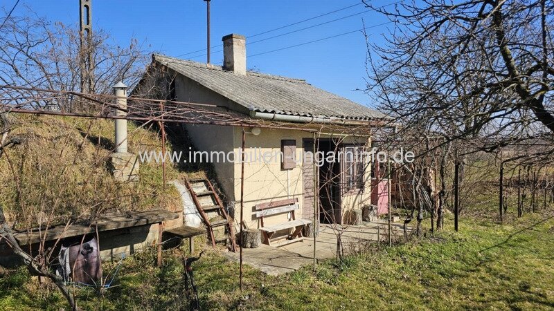 In den Weinbergen von Marcali Keller/Ferienhaus auf Panoramagrundstück zu verkaufen In den Weinbergen von Marcali Keller/Ferienhaus auf Panoramagrundstück zu verkaufen