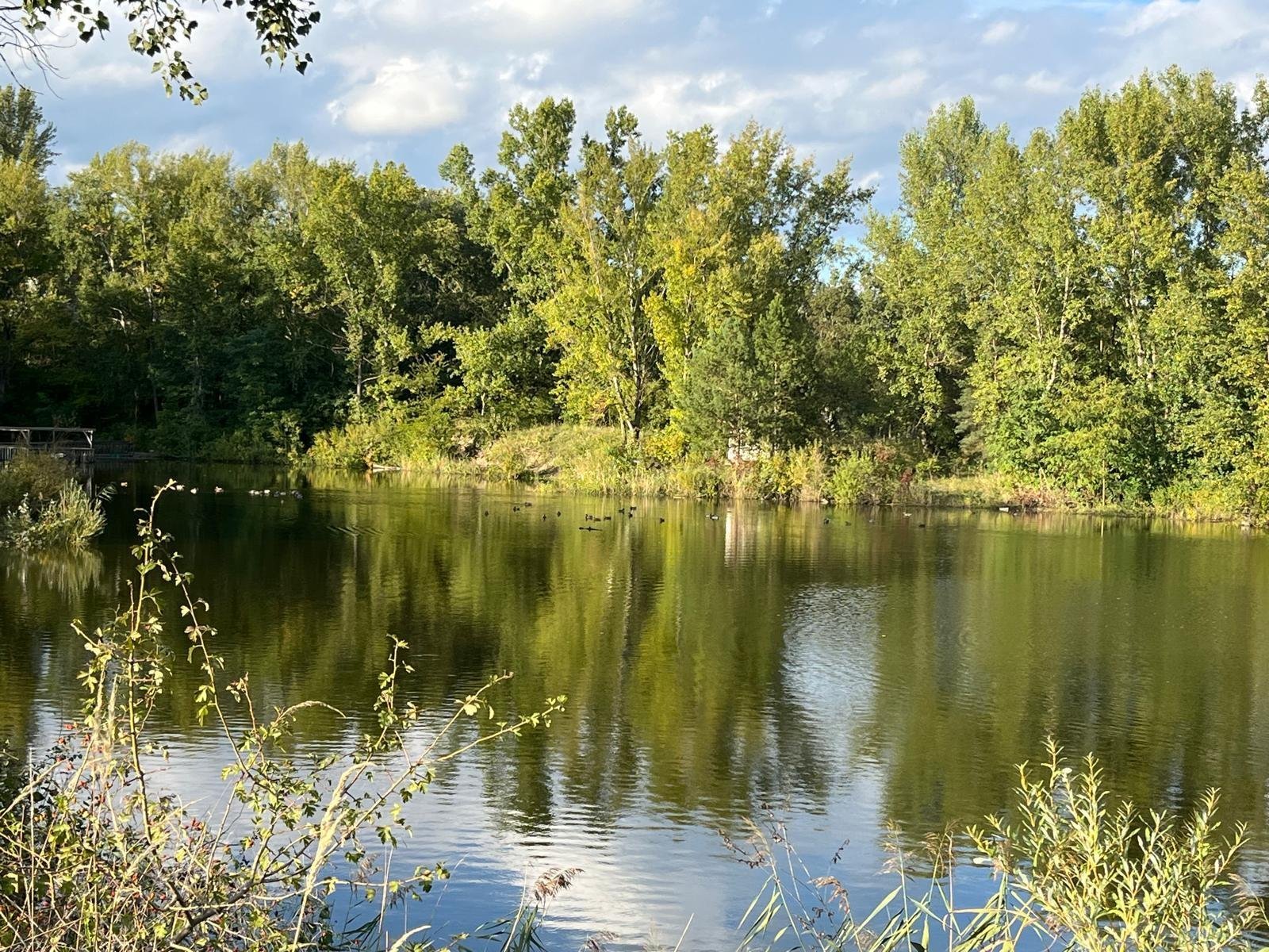 Exklusives Immobilienpaket mit Wohnhaus, Teich & Naturparadies - 4 Ha Privatsphäre pur! Exklusives Immobilienpaket mit Wohnhaus, Teich & Naturparadies - 4 Ha Privatsphäre pur!