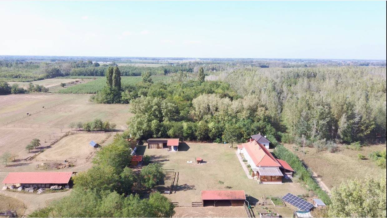 Hof mit 3 Wohnhäusern und Nebengebäuden sowie 8,3 ha Land Hof mit 3 Wohnhäusern und Nebengebäuden sowie 8,3 ha Land