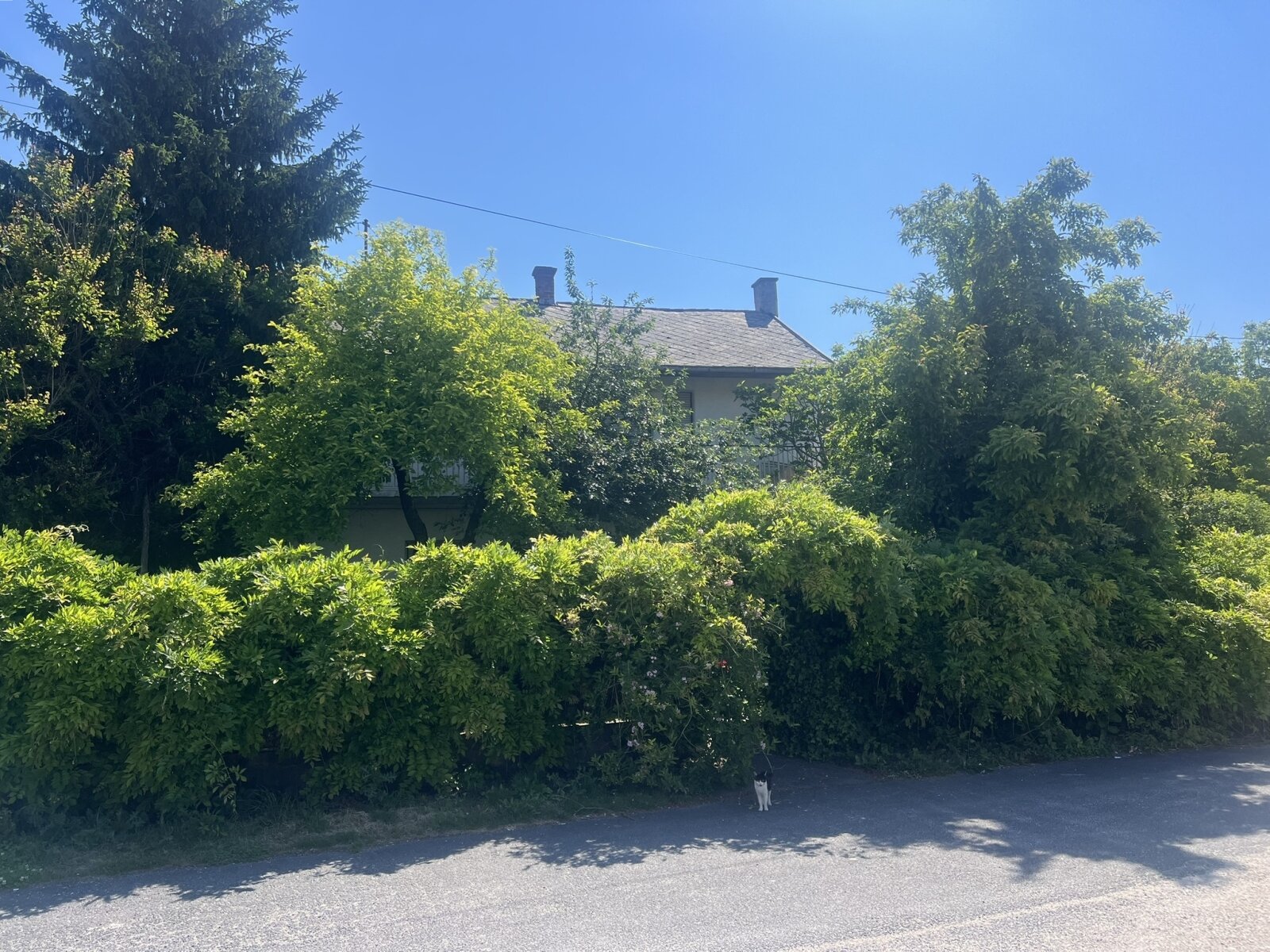 Einfamilienhaus zu verkaufen! Einfamilienhaus zu verkaufen!