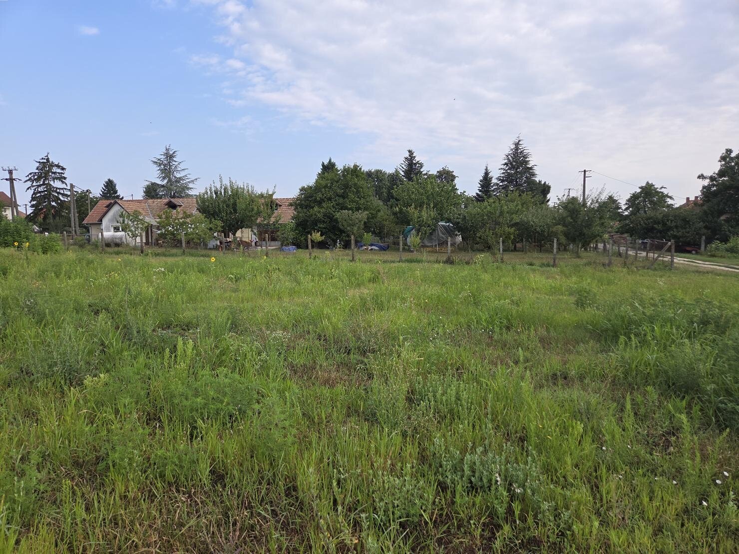 Baugrundstück in Zalaszentmihály Baugrundstück in Zalaszentmihály