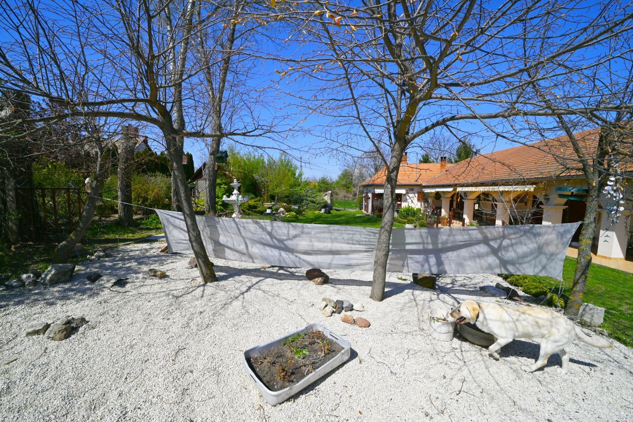 (BAB) Wunderschönes ungarisches Landhaus mit großem Grundstück und Pferdeboxen (BAB) Wunderschönes ungarisches Landhaus mit großem Grundstück und Pferdeboxen