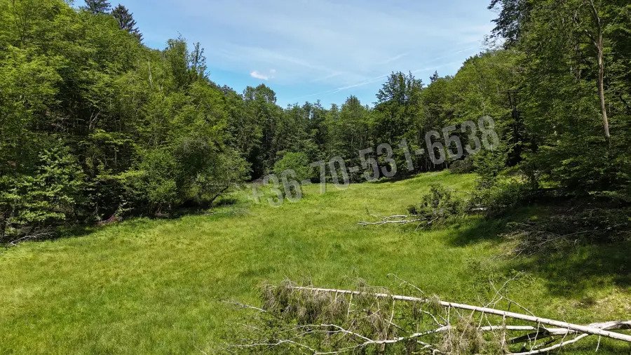 Waldgrundstück 8,2 ha in Felsőszölnök, Őrség Waldgrundstück 8,2 ha in Felsőszölnök, Őrség