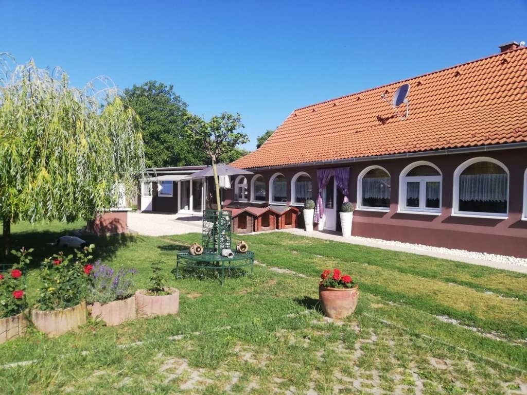 (AAA) Pferderanch in gutem Zustand bei Kaposvar (AAA) Pferderanch in gutem Zustand bei Kaposvar