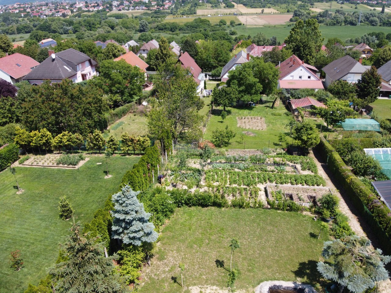 großer Bio-Gemüsegarten